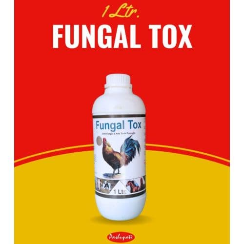 Fungal Tox