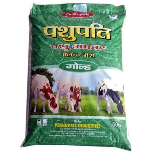 Gold Cattle Feed