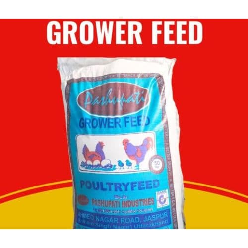 Layer Grower Poultry Feed