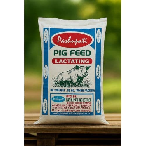 Pig Lactating Feed