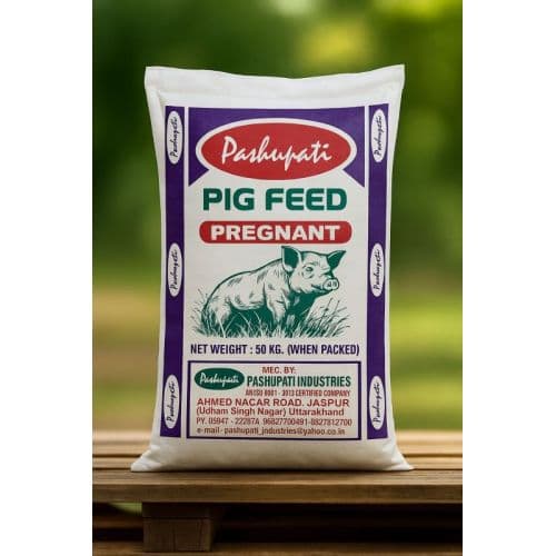 Pig Pregnant Feed