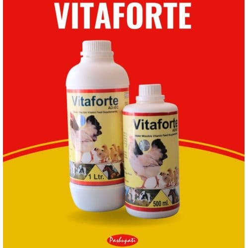 Poultry Feed Supplements